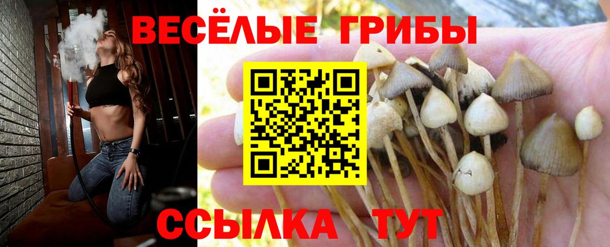 Полысаево  Псилоцибиновые грибы мухоморы  Вход с VPN 